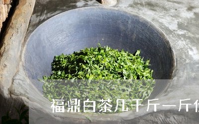 福鼎白茶几千斤一斤价格/2023092114058