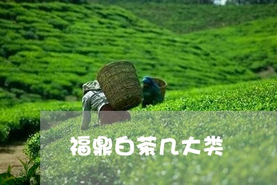 福鼎白茶几大类/2023060893138