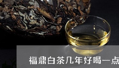 福鼎白茶几年好喝一点/2023120772814