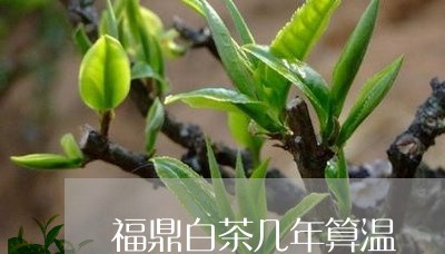 福鼎白茶几年算温/2023112667474