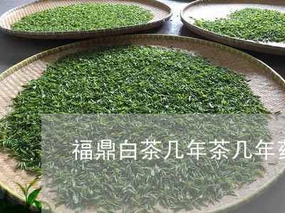 福鼎白茶几年茶几年药/2023120863837