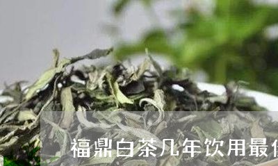 福鼎白茶几年饮用最佳/2023120707580