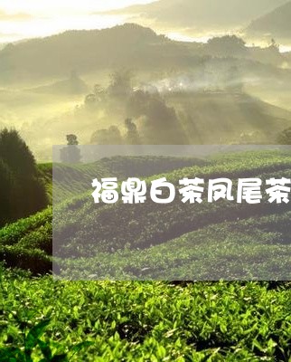 福鼎白茶凤尾茶价格表图片/2023110984845