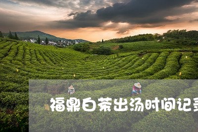 福鼎白茶出汤时间记录图/2023110121693