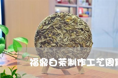 福鼎白茶制作工艺周期/2023091629594