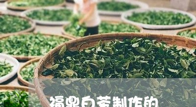 福鼎白茶制作的/2023060819370