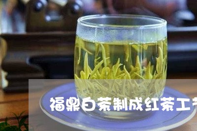 福鼎白茶制成红茶工艺/2023120716261