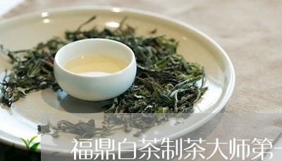 福鼎白茶制茶大师第一/2023120781818