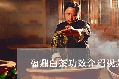 福鼎白茶功效介绍视频讲解/2023042522062