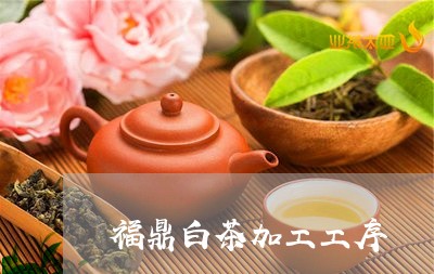 福鼎白茶加工工序/2023112694946