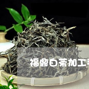 福鼎白茶加工手工壶视频/2023110161585