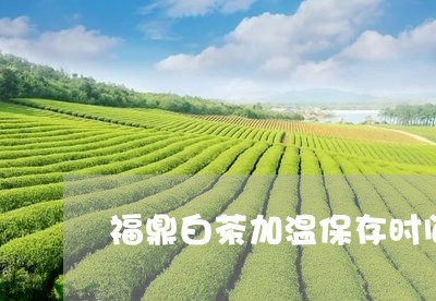 福鼎白茶加温保存时间/2023120784957