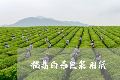 福鼎白茶包装用纸/2023062839380