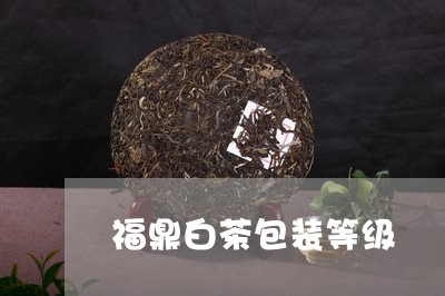 福鼎白茶包装等级/2023112603157