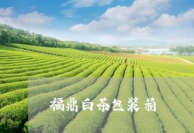 福鼎白茶包装箱/2023060771591