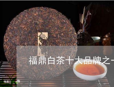 福鼎白茶十大品牌之一是什么/2023111455140