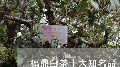 福鼎白茶十大知名品/2023120384132