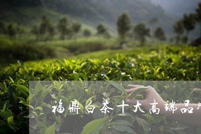 福鼎白茶十大高端品牌价格/2023110939482