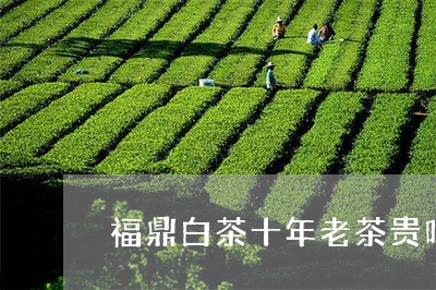 福鼎白茶十年老茶贵吗/2023120780515