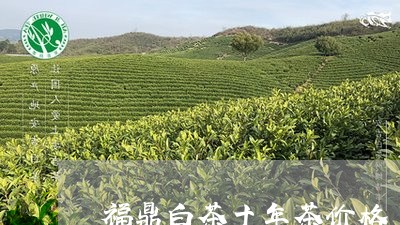 福鼎白茶十年茶价格/2023120350382