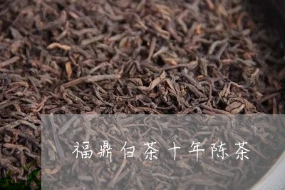 福鼎白茶十年陈茶/2023112608268