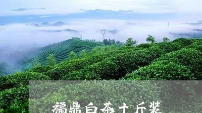 福鼎白茶十斤装/2023112524284