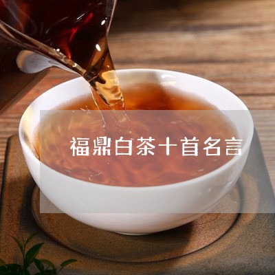 福鼎白茶十首名言/2023112580604