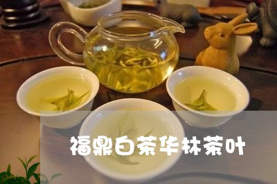 福鼎白茶华林茶叶/2023112671615