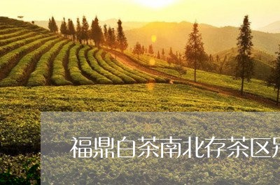 福鼎白茶南北存茶区别/2023092044936