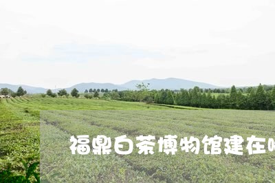 福鼎白茶博物馆建在哪里/2023110111693