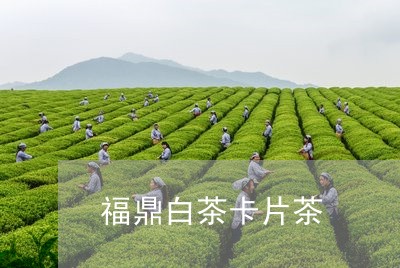 福鼎白茶卡片茶/2023062810505