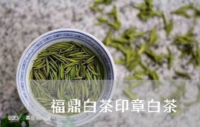 福鼎白茶印章白茶/2023090573936