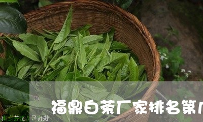 福鼎白茶厂家排名第几位/2023092540474