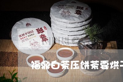 福鼎白茶压饼茶要烘干吗/2023092196045