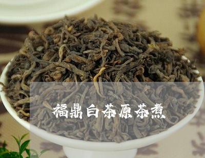 福鼎白茶原茶煮/2023112584959