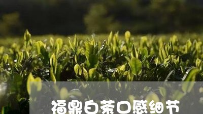 福鼎白茶口感细节/2023071210814