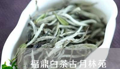 福鼎白茶古月林苑/2023112618250