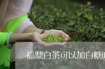 福鼎白茶可以加白糖吗/2023091564816