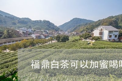 福鼎白茶可以加蜜喝吗百度/2023110839494