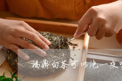 福鼎白茶可以泡一夜吗/2023091530493