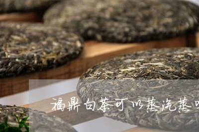 福鼎白茶可以蒸汽蒸吗/2023091593950