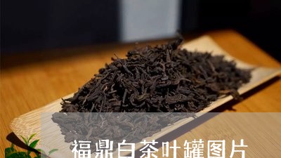 福鼎白茶叶罐图片/2023071281250