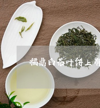 福鼎白茶叶饼上有茶菌吗/2023092485947