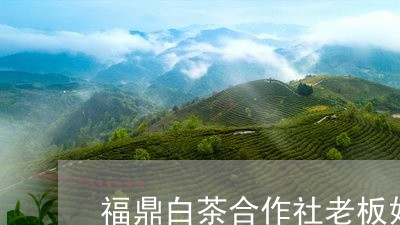 福鼎白茶合作社老板娘是谁/2023110881505