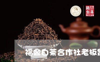 福鼎白茶合作社老板是谁/2023110125950