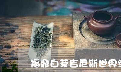 福鼎白茶吉尼斯世界纪录/2023110135149