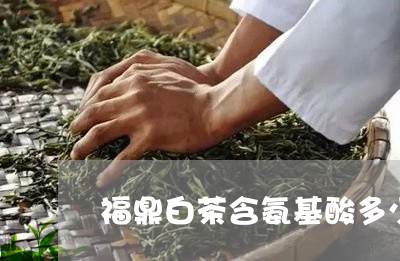 福鼎白茶含氨基酸多少/2023120759582