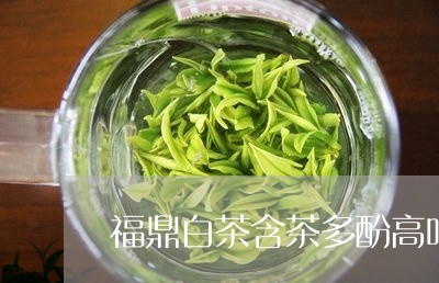 福鼎白茶含茶多酚高吗/2023110844835