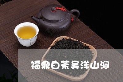 福鼎白茶吴洋山涧/2023082545050