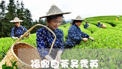 福鼎白茶吴秀英/2023111697269